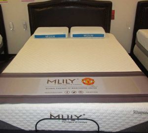 10” GEL-MAX Cool-Gel Memory Foam mattress Indianapolis